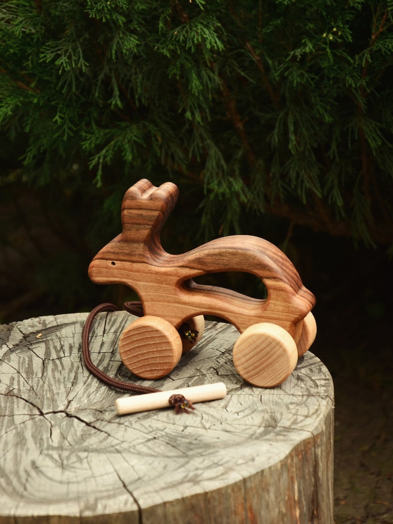 Wooden Bunny Pull & Push Toy: Educational Toddler Toy, Montessori ...