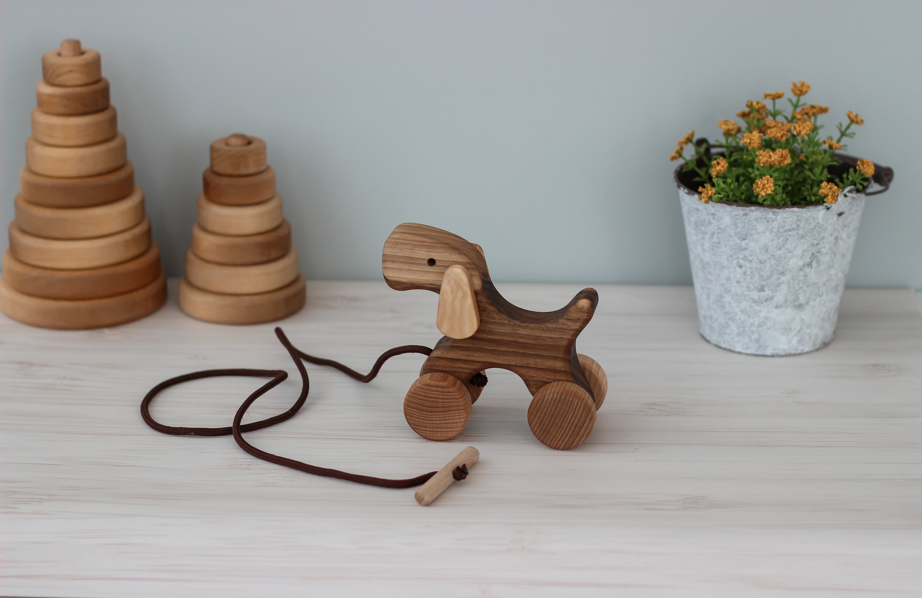 Wooden Animals on Wheels Montessori Toys for 1 Year Old First Etsy