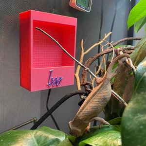 MAGNETIC Reptile Insect Feeder Box (Customizable)