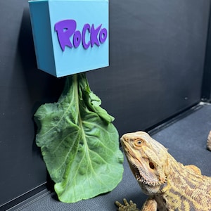 Reptile Leaf Feeder Box (Customizable)