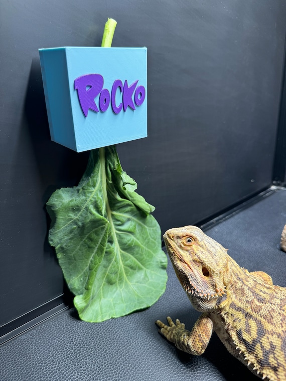 Reptile Leaf Feeder Box (Customizable)