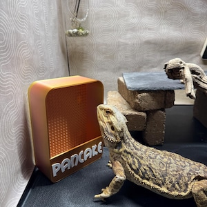 Modern Reptile Insect Feeder Box (Customizable)