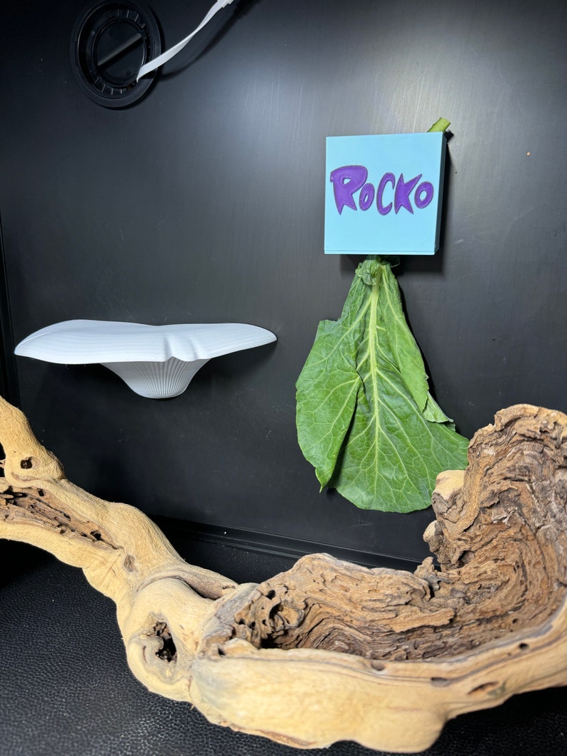 May include: A black background with a white ceramic dish, a green leafy vegetable, and a light blue sticky note with the word "Rocko" written in purple. A brown piece of driftwood is in the foreground.