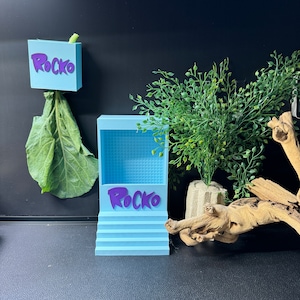 May include: A light blue 3D printed model of a building with the word "Rocko" in purple letters on the front. The building has three steps leading up to the front door. There is a green plant in a pot to the right of the building.