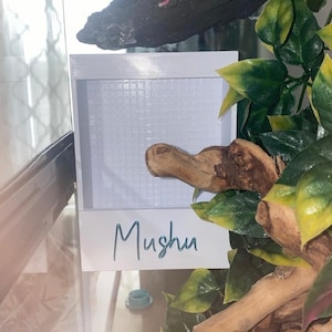Può includere: Un cartello rettangolare bianco con un motivo a griglia e il nome "Mushu" scritto in corsivo blu.