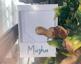 MINI *MAGNETYCZNA* WERSJA Karmnik dla gadów i owadów (możliwość personalizacji)