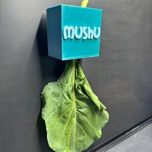 May include: A teal blue 3D printed box with the word "Mushu" printed on the front. A green leafy vegetable is hanging from the box.