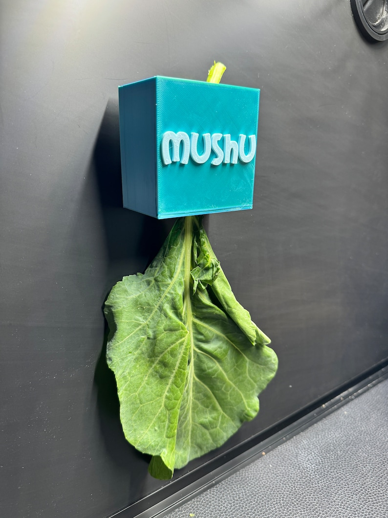 May include: A teal blue 3D printed box with the word "Mushu" printed on the front. A green leafy vegetable is hanging from the box.