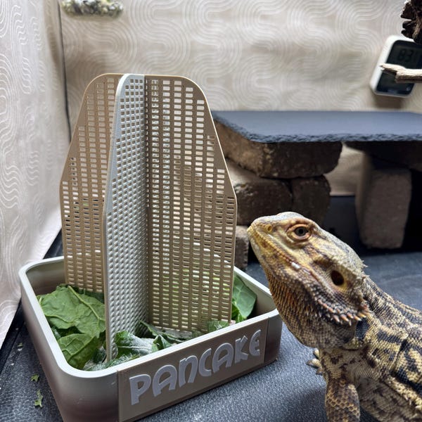 Fuente para insectos para reptiles (personalizable)