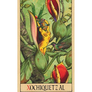 May include: A rectangular tarot card featuring a yellow figure adorned with traditional headwear emerging from a large green and red flower bud. A small hummingbird hovers nearby amidst green foliage. The text XOCHIQUETZAL is printed at the bottom.