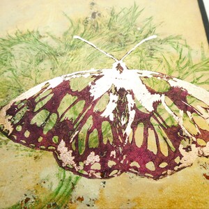 The butterfly is printed in a pink / purple shade.