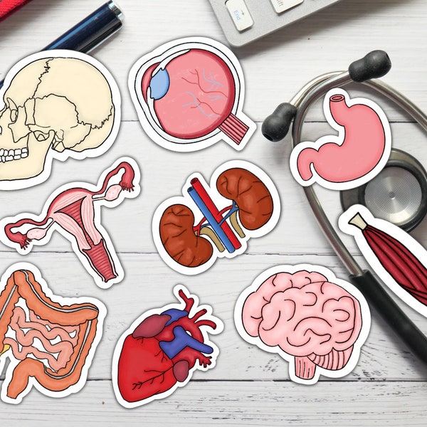 Anatomy Printed STICKERS Set, medicine, med school stickers, Bullet Journal /planner Stickers, stickers for medical students, waterproof