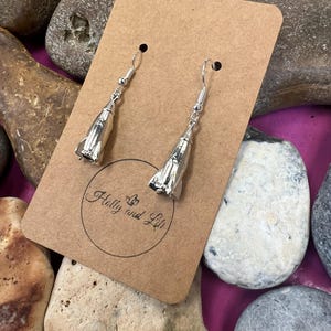 Può includere: Orecchini a forma di razzo argentati con chiusura a gancio. Gli orecchini sono esposti su un cartoncino marrone con la scritta "Holly and Lili". Lo sfondo include varie pietre.