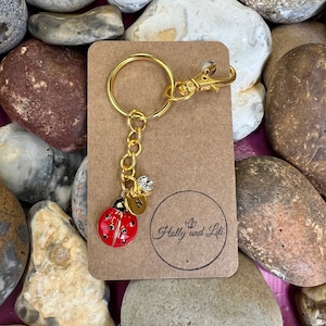 Porte-clés personnalisé coccinelle rouge, porte-clés coccinelle, initiale alphabétique, breloques pierre de naissance, insectes chaînes, nouveauté, petite amie