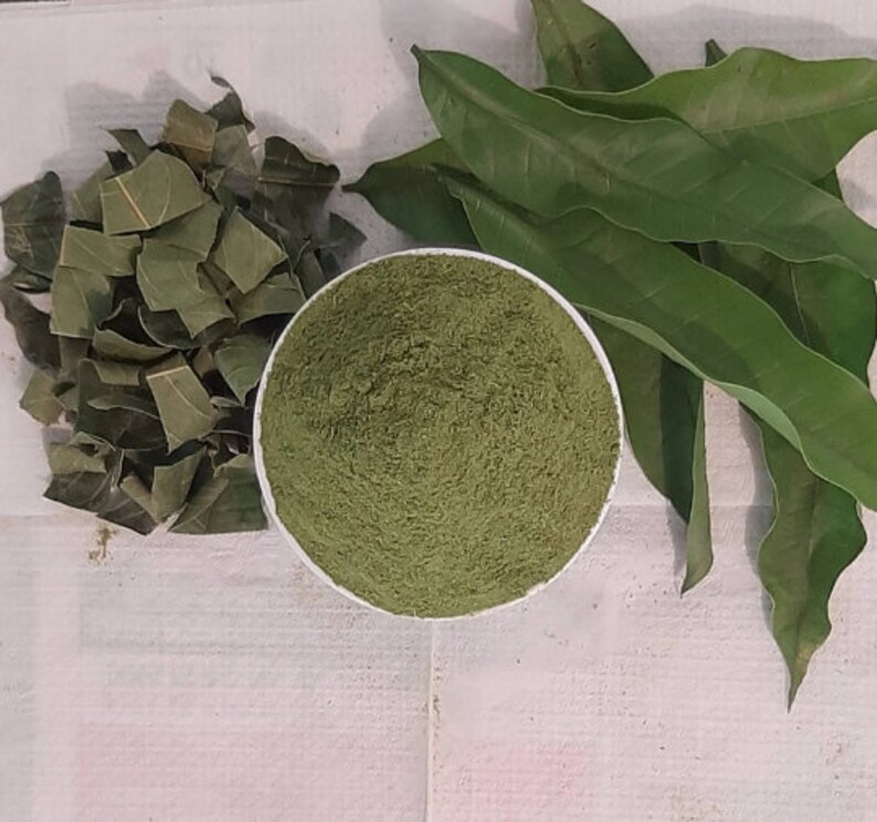 Ceylon Organic Dried Mango Leaves 100 Organic Simple Tea Mangifera Indica leaves 60 Leaves 200