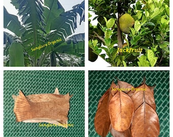 Organic Dried Banana Leaves And Jack Fruit Leaves Pet Supplies Fish Aquarium  Bio Film Shrimp Cleaning  Natural Free Delivery From Ceylon..