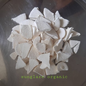 Farinha de Mandioca Orgânica – Natural, Sem Glúten, Sem Grãos, Paleo e Vegana | Farinha de Tapioca | Alternativa de Farinha Multiuso (120g - 1kg)