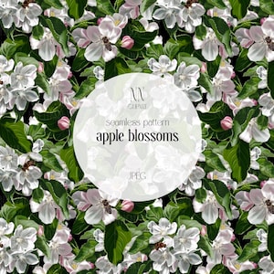 A flor de maçã Apple Blossom é uma flor botânica de alta qualidade