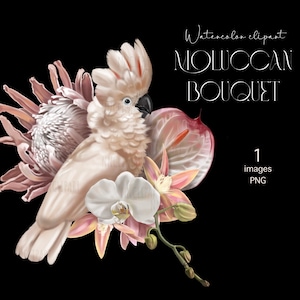 Moluccan cockatoo Parrot Watercolor birds clipart sublimation Bouquet Tropic nursery art realistic jungle
