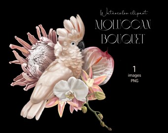 May include: A watercolour illustration of a white cockatoo with pink accents, surrounded by pink and white flowers. The flowers include a protea, orchids, and anthurium. The illustration is titled "Moluccan Bouquet".