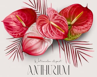 Wedding red flower Anthurium clipart Realistic PNG digital paper