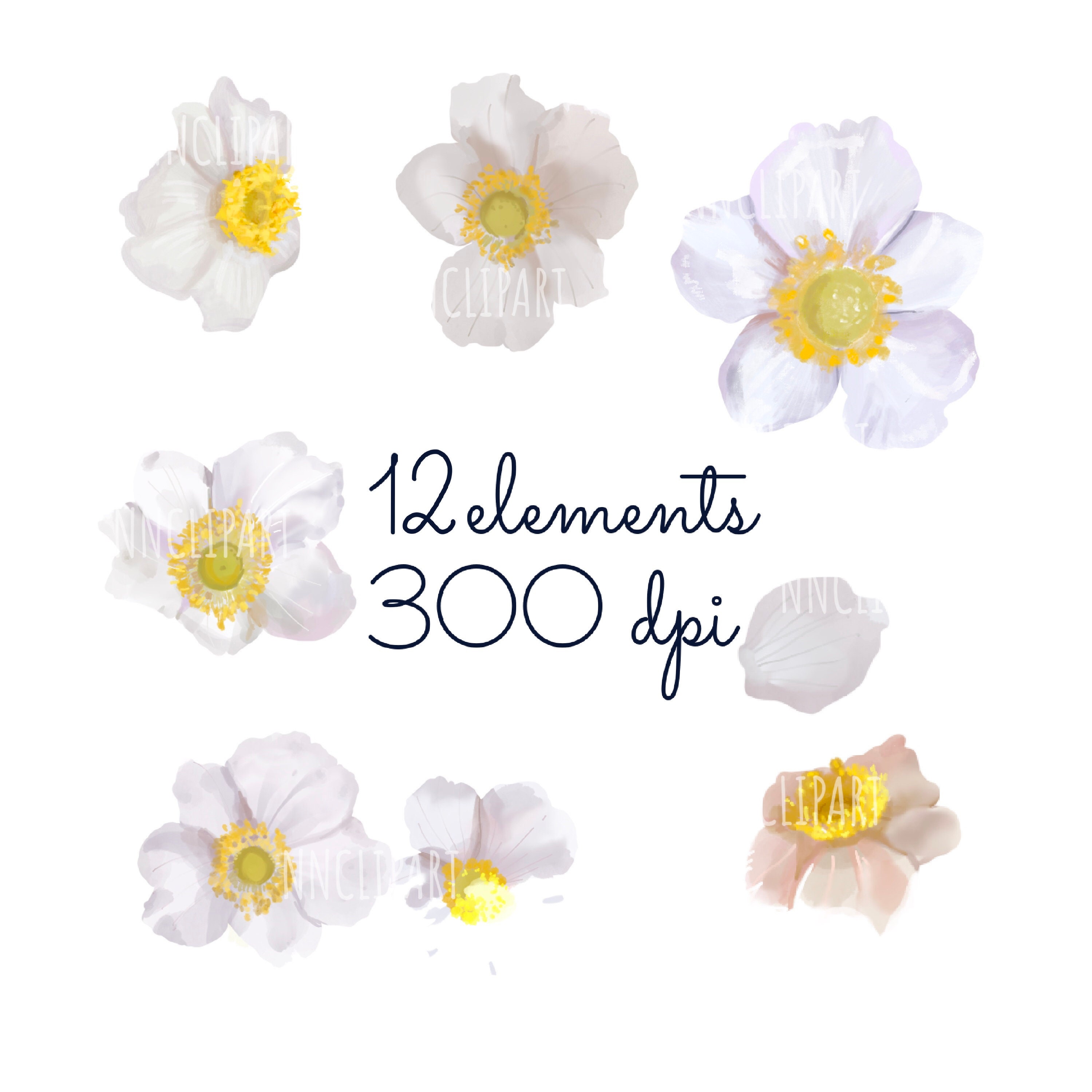 White Watercolor Flowers Clipart Floral Watercolor Clipart | Etsy