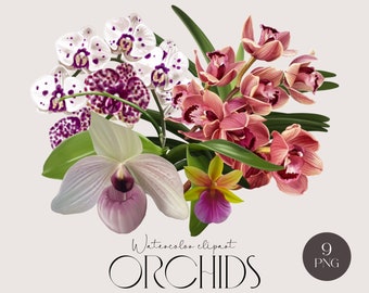 Aquarel orchideeën illustraties Tropische orchideebloemen en bladeren clipart Instant download Floral PNG