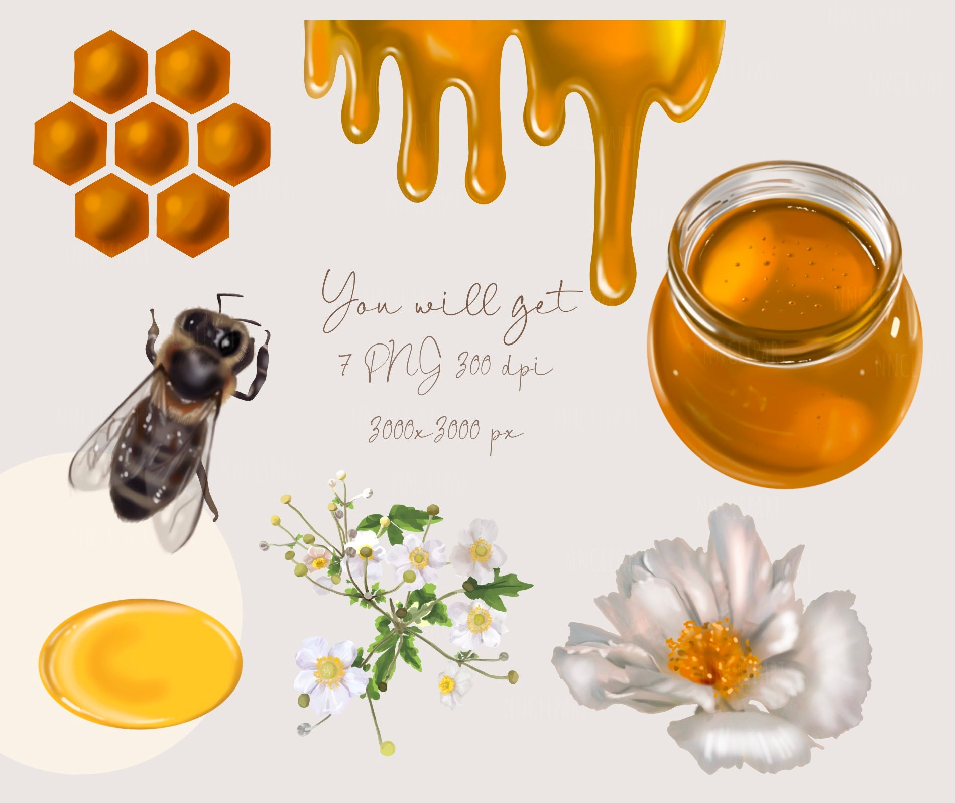 Honey Bee Watercolor Clipart PNG Honey Pot Honey Jar Summer Farm ...