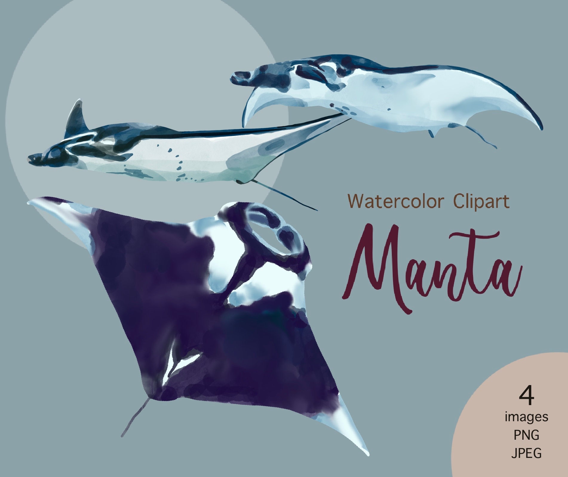 Manta Ray Stencil - Etsy New Zealand Manta Ray Stencil - Etsy New Zealand
