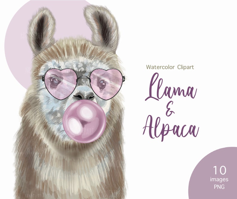May include: A watercolour illustration of a llama wearing pink heart-shaped sunglasses and blowing a pink bubble. The llama has a light brown coat and a white muzzle. The text "Llama & Alpaca" is written in purple text below the llama. The text "Watercolor Clipart" is written in grey text above the llama. The text "10 images PNG" is written in grey text in the bottom right corner of the image.