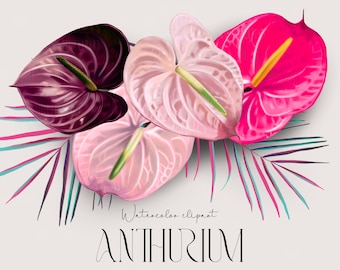 Bruiloft bloem Anthurium clipart realistisch PNG digitaal papier.