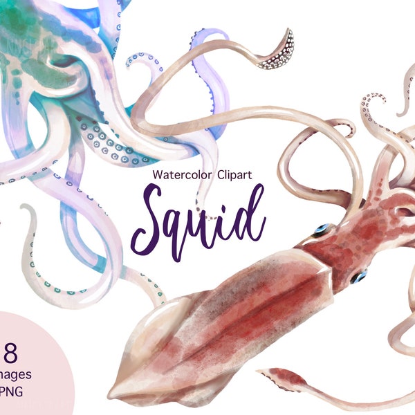 Watercolor Realistic Squid Sea Creatures Clipart Marine Life Nautical Digital Paper