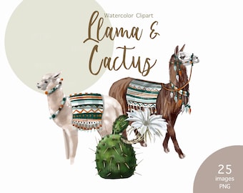 Op de afbeelding: Waterverf clipart van twee lama's met kleurrijke dekens en een groene cactus. De tekst "Llama & Cactus" is geschreven in bruin cursief boven de lama's.