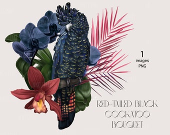 May include: A digital illustration of a red-tailed black cockatoo with black and blue plumage, perched on a branch with pink and green leaves. The cockatoo is surrounded by purple orchids and a red orchid with yellow accents. The text "RED-TAILED BLACK COCKATOO BOUQUET" is written below the image.
