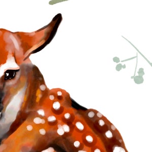May include: A close-up of a fawn with brown and white spotted fur. The fawn is looking to the left of the image. The background is white with a light green leafy branch.