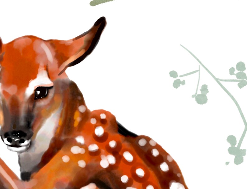 May include: A close-up of a fawn with brown and white spotted fur. The fawn is looking to the left of the image. The background is white with a light green leafy branch.