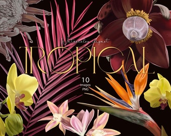 Tropical flowers Watercolor flower clipart Digital realistic plants Tropical Summer Flowers clipart Exotic Floral PNG