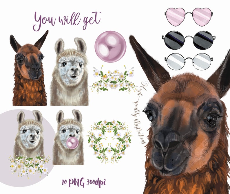 May include: Digital illustration set of 10 llama images. The set includes a brown llama with a pink bubble, a white llama with a pink bubble, a brown llama with sunglasses, a white llama with sunglasses, a brown llama with a pink heart, a white llama with a pink heart, a brown llama with a white heart, a white llama with a white heart, a brown llama with a wreath of white flowers, and a white llama with a wreath of white flowers. The text "You will get 10 PNG 300dpi" is also included in the image.