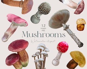 May include: A set of 12 watercolor illustrations of various mushrooms. The mushrooms are in different colors, shapes, and sizes. The illustrations are perfect for adding a touch of nature to your designs.