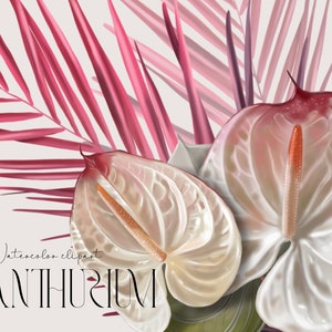 Fleur de mariage Anthurium clipart Réaliste PNG papier numérique