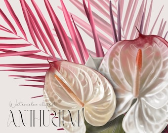 Wedding flower Anthurium clipart Realistic PNG digital paper
