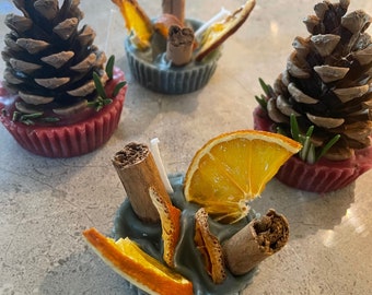 Scented Wax Natural Fire Starters / lighters, Set of 4, Pine Cone , Firepit, outdoor, wood burner