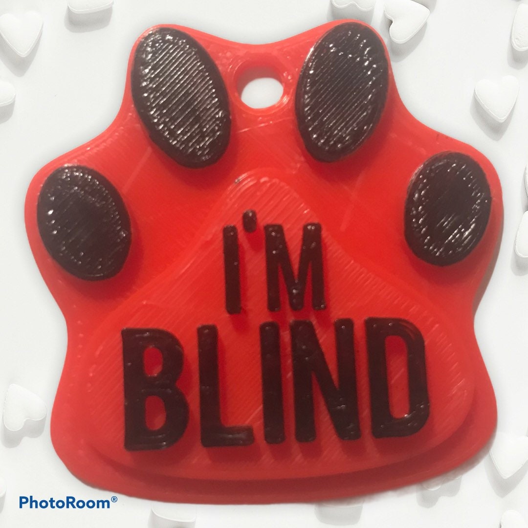 Medical Dog Tags Dog ID Tags Deaf Blind Epileptic Etsy