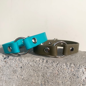 May include: Two dog collars, one turquoise blue and one olive green, with silver metal D-rings.