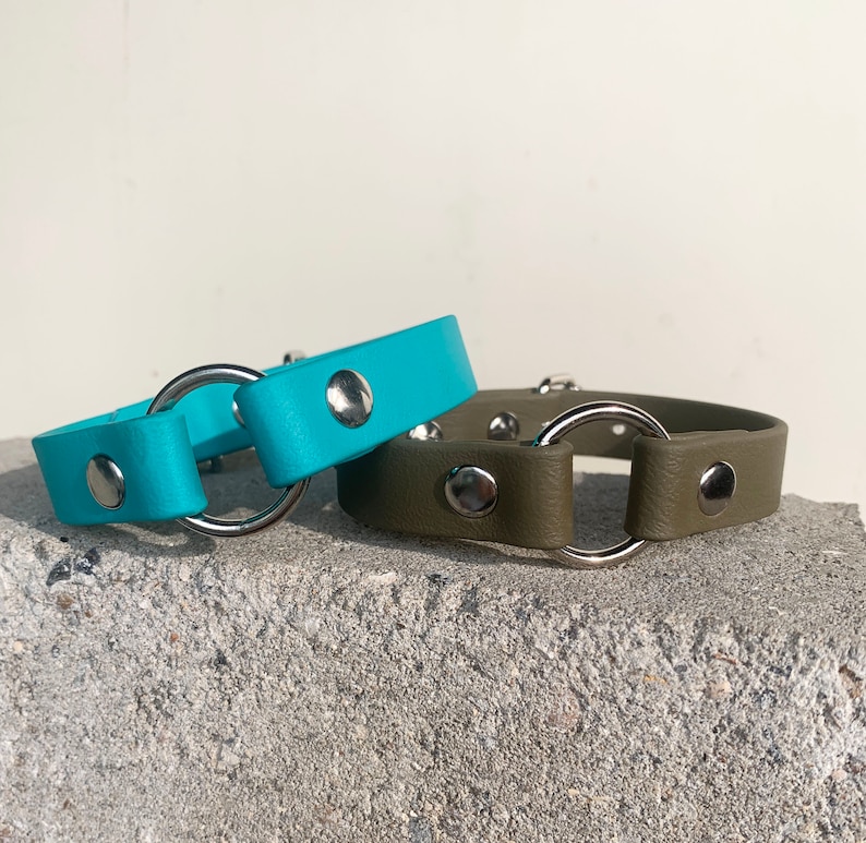 May include: Two dog collars, one turquoise blue and one olive green, with silver metal D-rings.