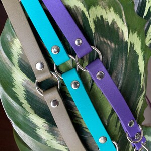 May include: Three leather collars in different colors: olive green, teal blue, and purple. Each collar has silver metal rings and studs.