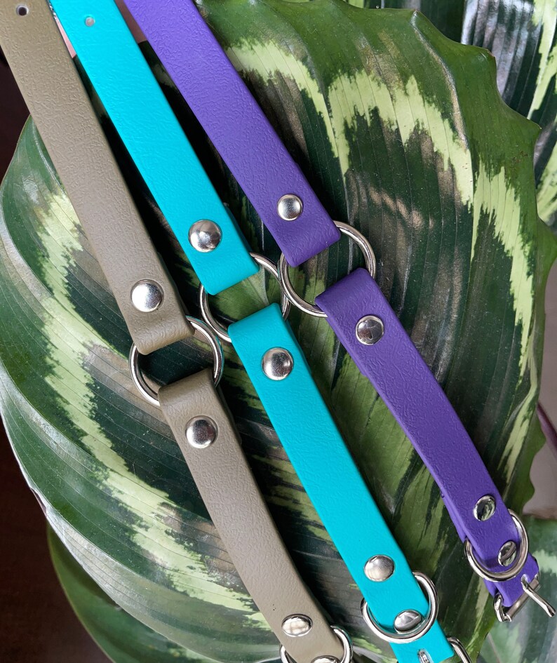 May include: Three leather collars in different colors: olive green, teal blue, and purple. Each collar has silver metal rings and studs.