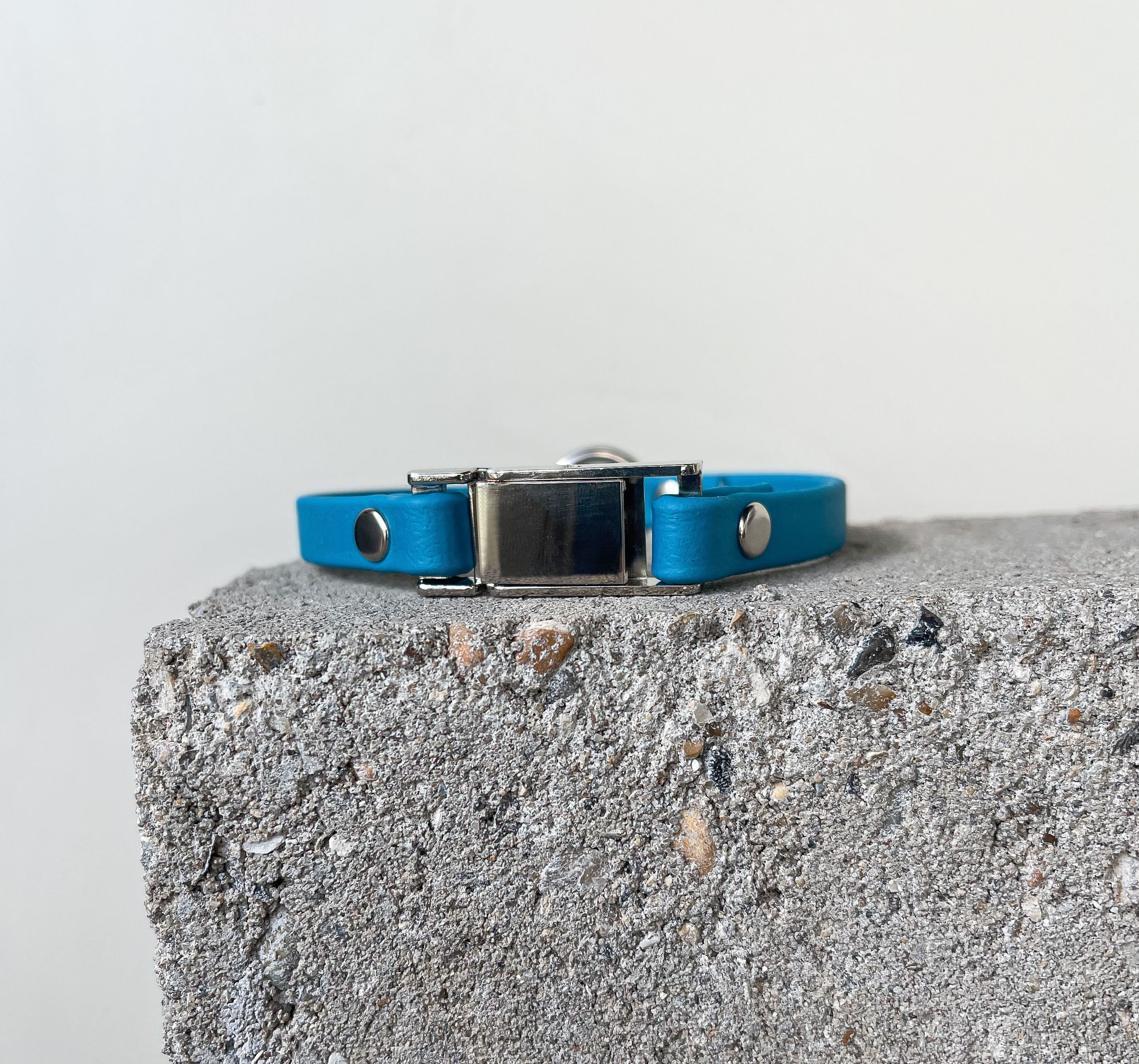 Biothane Vegan ID Pet Collar Bespoke | Etsy UK
