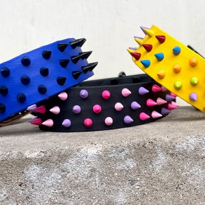 Op de afbeelding: Drie leren hondenhalsbanden met kleurrijke spikes. De halsbanden zijn blauw met zwarte spikes, zwart met roze en paarse spikes en geel met veelkleurige spikes.