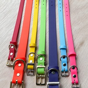 Biothane Dog Collar | Rainbow Colours | Bespoke | Vegan